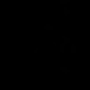 Meet your Posher, Kitana